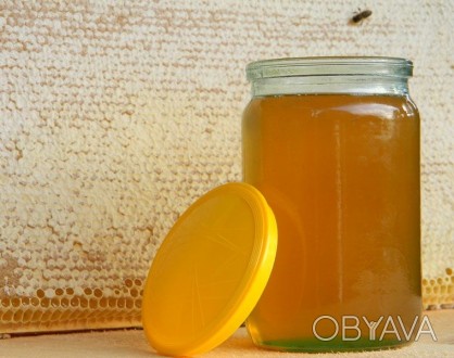 Продам натуральний  майський  та гречаний  мед з власної пасіки. Ціна за 1 літр-. . фото 1