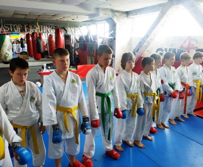 Карате -клуб «OKINAWA» Проводится набор детей (мальчиков, девочек) о. . фото 8