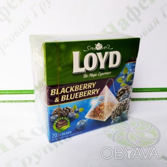 Чай в пакетиках пирамидках Loyd Blackberry&Blueberry, ежевика и голубика. Чай LO. . фото 1
