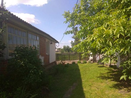 Продам отличный кирпичный дом в пгт Короп Черниговской области. Общая площадь до. Носовка. фото 3