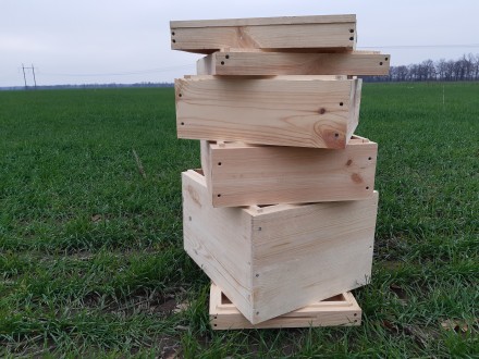 Улей(комплектация)300+145+145. Одесса. фото 1 Улей(комплектация)300+145+145. Одесса. фото 1