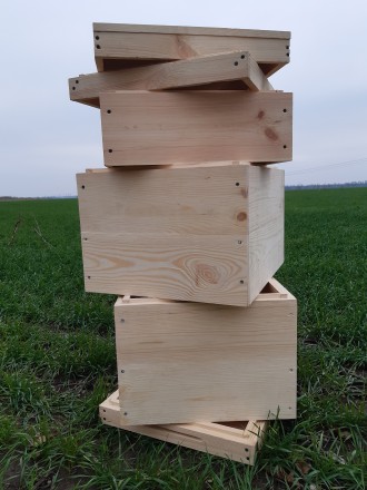 Улей(комплектация)300+300+145. Одесса. фото 1 Улей(комплектация)300+300+145. Одесса. фото 1