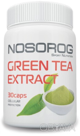 Nosorog green tea + vit C – капсулированный экстракт зеленого чая, обогащенный в. . фото 1
