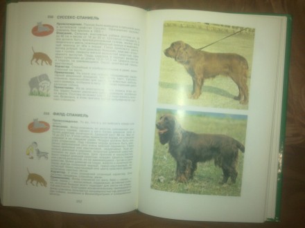 Продам новую иллюстрированную энциклопедию собаки на 437 страницу, под редакцией. . фото 13