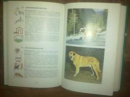 Продам новую иллюстрированную энциклопедию собаки на 437 страницу, под редакцией. . фото 10