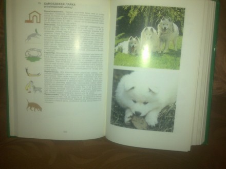 Продам новую иллюстрированную энциклопедию собаки на 437 страницу, под редакцией. . фото 11