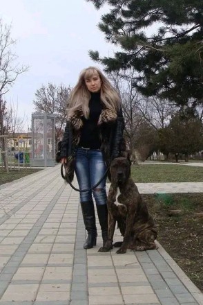 Дрессировка собак в Козельце. Бровары. фото 1 Дрессировка собак в Козельце. Бровары. фото 1