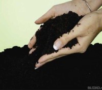 Чернозем чистый рассыпчатый,плодородный,черный отличного качества с оперативной . . фото 2