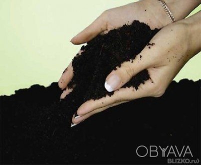 Чернозем чистый рассыпчатый,плодородный,черный отличного качества с оперативной . . фото 1