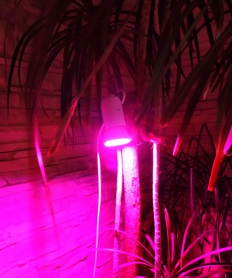 Фитолампа для роста растений.

80 LED (80 светодиодов)
ПОЛНЫЙ СПЕКТР
Очень м. . фото 9