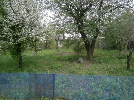 Дачный участок 5,5соток в садовом кооперативе "Ягодка",ровный,прямой,у. Люботин. фото 6