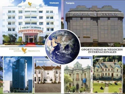 Дулове партнерство. Онлайн бізнес з мікро франшизи. Одесса. фото 1 Дулове партнерство. Онлайн бізнес з мікро франшизи. Одесса. фото 1