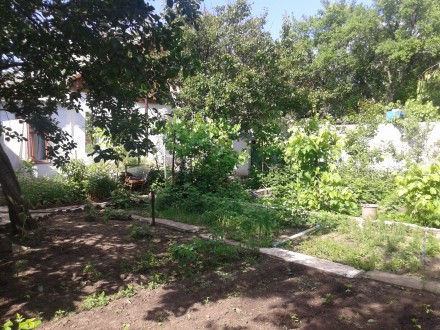продаю частный дом,наилучшее расположение для проживания,в пешей доступности сад. Ленинский. фото 7