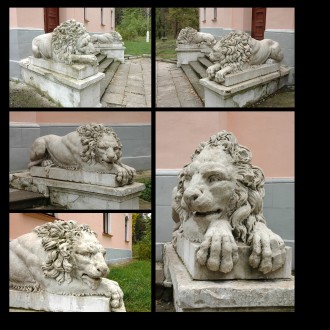 Скульптура Лев садово-парковая  Н=800мм, длина 1700мм, ширина 550мм. 
Бетон+кам. . фото 2