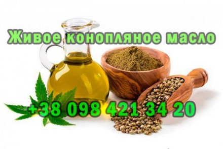 конопляноe мaсло, в стeклянных бутылкaх. Київ. фото 1 конопляноe мaсло, в стeклянных бутылкaх. Київ. фото 1
