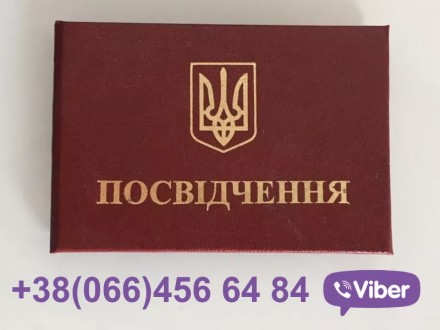 Проводим консультацию и оказываем помощь в сборе документов для работы в Украине. . фото 3