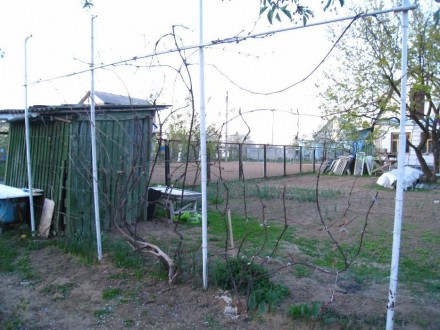 Продам Будинок Дачу. Киев. фото 1 Продам Будинок Дачу. Киев. фото 1