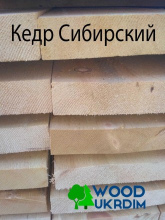 Компания Wood Ukrdim крупный поставщик пиломатериалов из Лиственницы Сибирской, . . фото 4