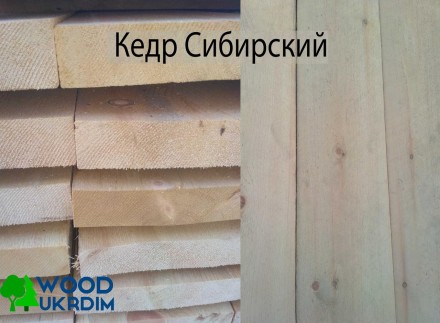 Компания Wood Ukrdim предлагает пиломатериал из Кедра Сибирского.
Вагонка Штиль. . фото 5