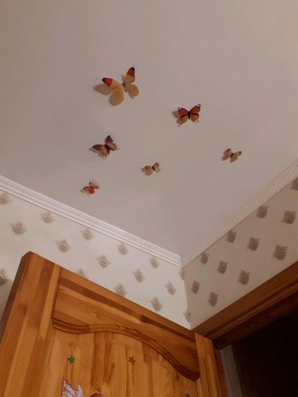 Пакет включает : 12 бабочек+12 стикеров для клейки бабочек
Декоративные 3-D баб. . фото 9