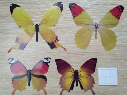 Пакет включает : 12 бабочек+12 стикеров для клейки бабочек
Декоративные 3-D баб. . фото 4