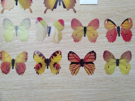 Пакет включает : 12 бабочек+12 стикеров для клейки бабочек
Декоративные 3-D баб. . фото 5