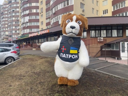 Пес-сапер Патрон – кумир миллионов украинцев.
Компания Слон предлагает но. . фото 5