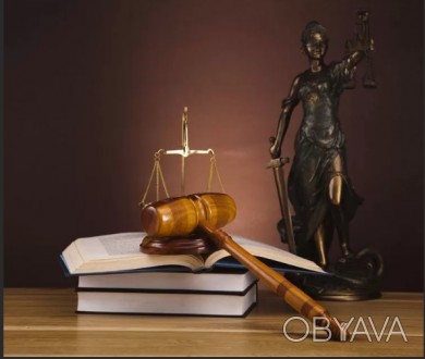 Юридические услуги для граждан Украины которые находятся в Европе. Большой опыт . . фото 1