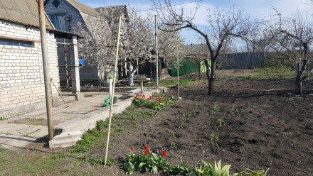 Продам два дома с.Петровское 20км от Запорожья. Запоріжжя. фото 1 Продам два дома с.Петровское 20км от Запорожья. Запоріжжя. фото 1