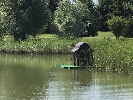 Ми пропонуємо будинки для качок, лебедів на воді.
 відмінної якості різних конс. . фото 10