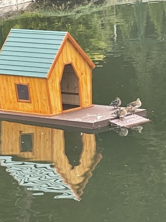 Ми пропонуємо будинки для качок, лебедів на воді.
 відмінної якості різних конс. . фото 2