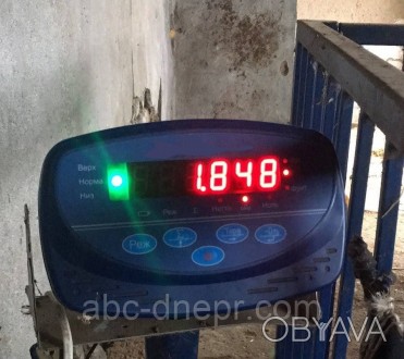 Весовой индикатор для весов электронных (платформенные, для животных, для кормос. . фото 1