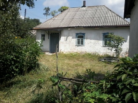 В селі Капустинці продається сільська хата на ділянці землі 25соток.
Ціна $1200. Яготин. фото 2