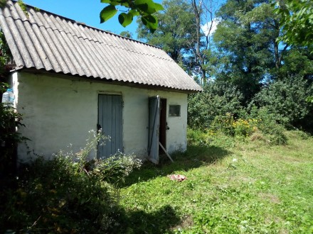 В селі Капустинці продається сільська хата на ділянці землі 25соток.
Ціна $1200. Яготин. фото 4